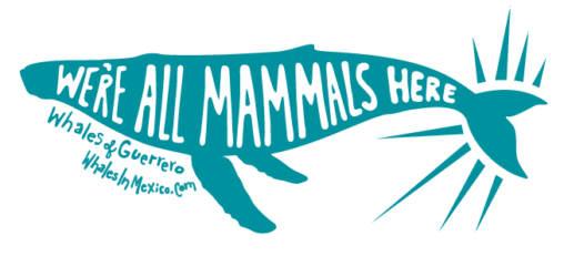 Ballenas de Guerrero logo